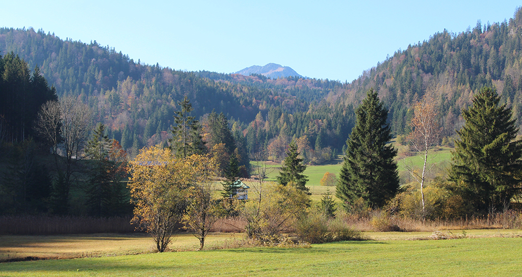 Blick auf Wiesen und Waldflächen der Mühlau im Gebiet Oberaudorf / Kiefersfelden